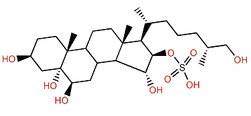 (25S)-5a-Cholestane-3b,5,6b,15a,16b,26-hexol 16-sulfate